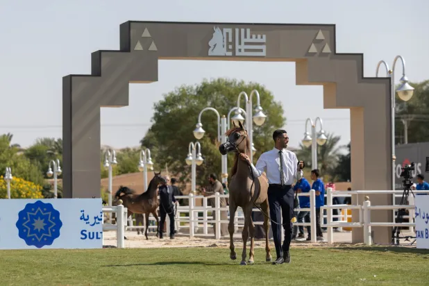 «نخبة المهرات» تدشن بطولة عرض الخيل الأصيلة في الرياض